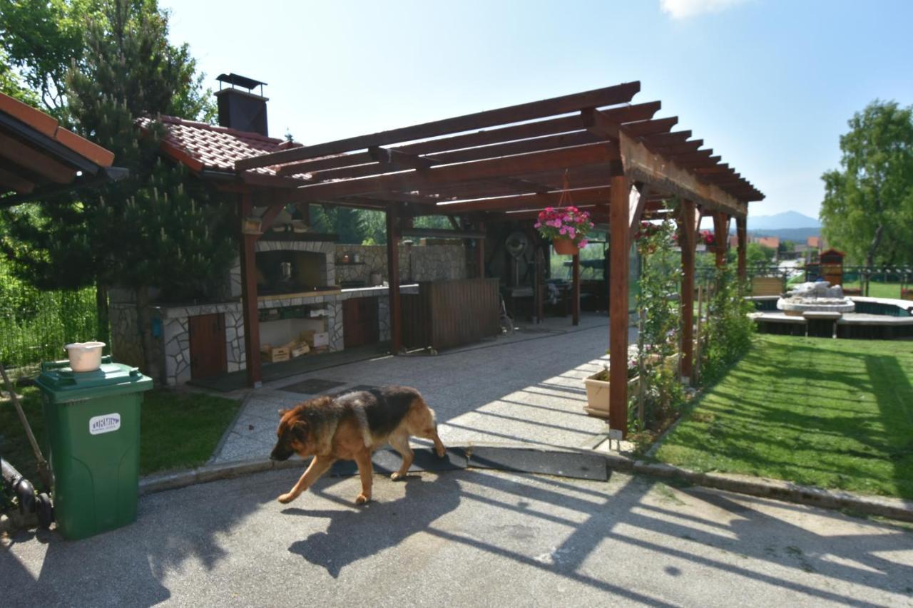 Apartments And Rooms Kod Eli Ravna Gora Exterior photo