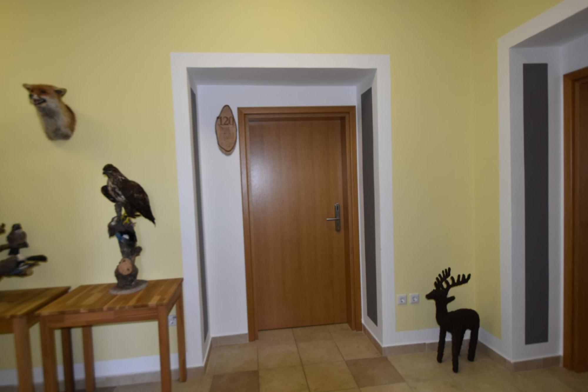 Apartments And Rooms Kod Eli Ravna Gora Exterior photo